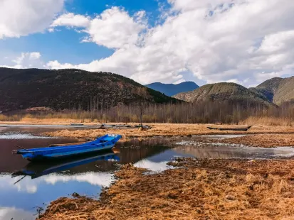 Μποββυ Καζίνο Κινητη εφαρμογη